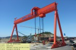 GOLIATH CRANE(1500톤) 제작/설치